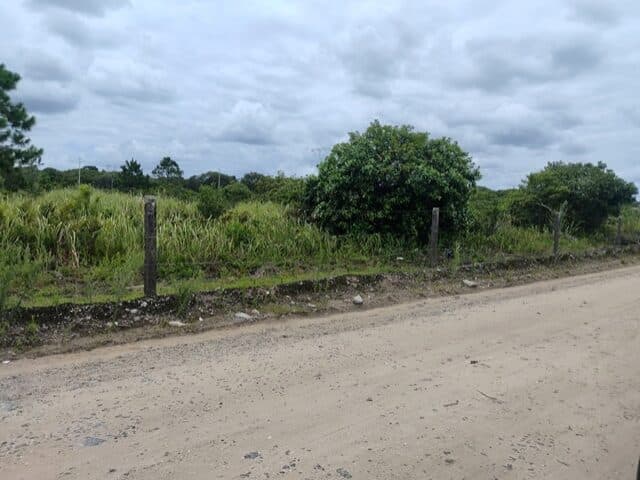 Foto 3 de 8: Terreno em leilão em Pontal Do Paraná - PR, bairro Pontal do Sul — TERRENO COM 702,00M2 - RUA PARDAL, NO 71, PONTAL DO SUL,