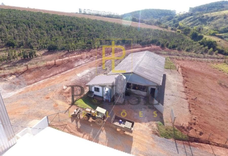 Foto 5 de 5: Area Rural em leilão em Piumhi - MG — Piumhi(MG) - fazenda com 29,33,50 ha Piumhi (MG) - Imóveis