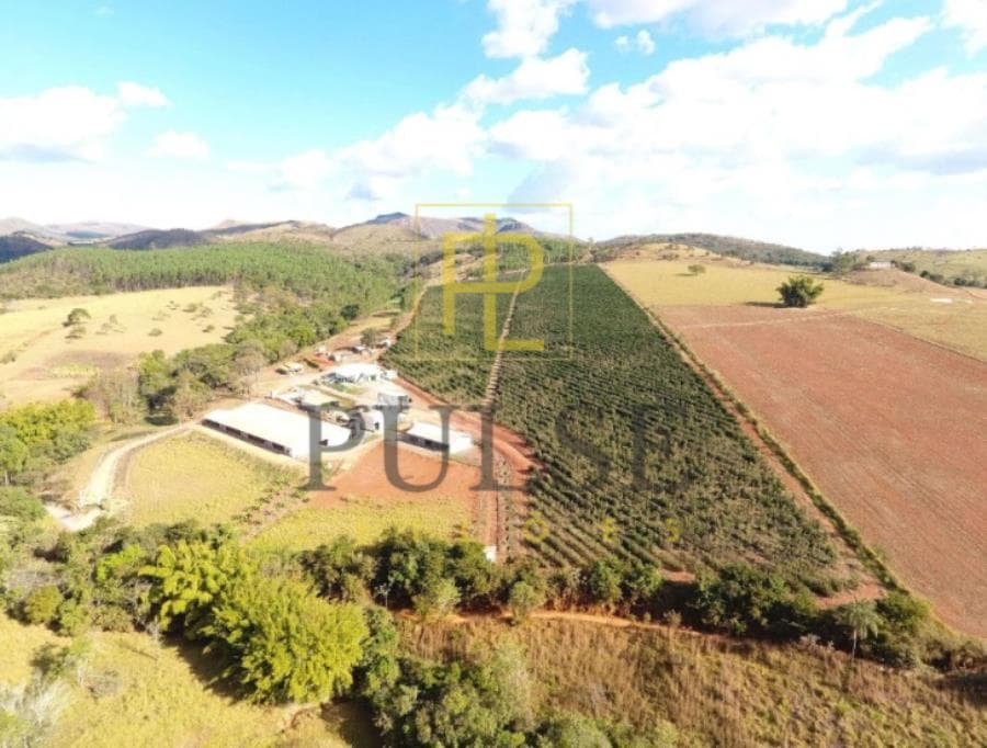 Foto 4 de 5: Area Rural em leilão em Piumhi - MG — Piumhi(MG) - fazenda com 29,33,50 ha Piumhi (MG) - Imóveis