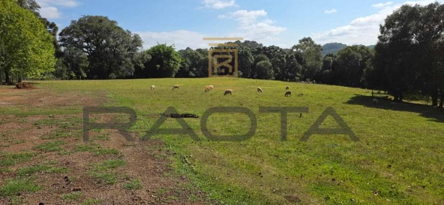 Foto 11 de 13: Terreno em leilão em Caxias Do Sul - RS — TERRENO URBANO 15.653,37M2 LINHA 40 terreno urbano com 15.653,37m2