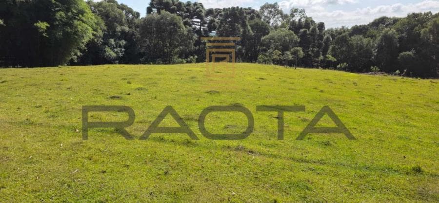 Foto 3 de 13: Terreno em leilão em Caxias Do Sul - RS — TERRENO URBANO 15.653,37M2 LINHA 40 terreno urbano com 15.653,37m2