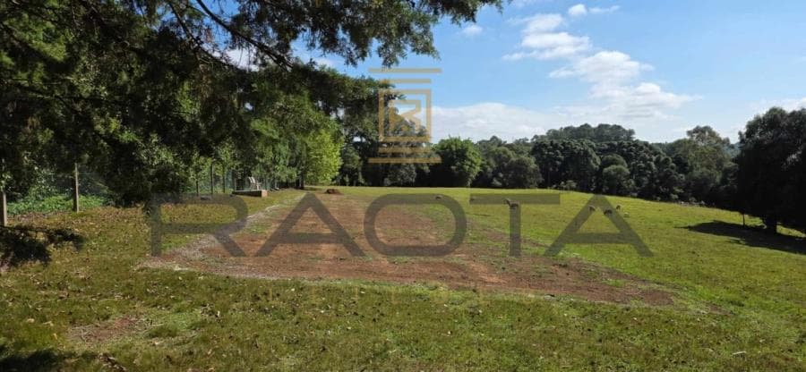 Foto 12 de 13: Terreno em leilão em Caxias Do Sul - RS — TERRENO URBANO 15.653,37M2 LINHA 40 terreno urbano com 15.653,37m2