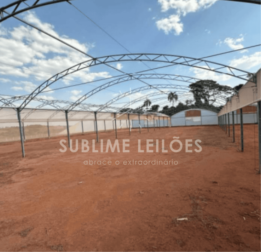Foto 17 de 17: Terreno em leilão em Tabatinga - SP — Terreno de 3,1339 hectares | Benfeitorias Área rural em Tabatinga